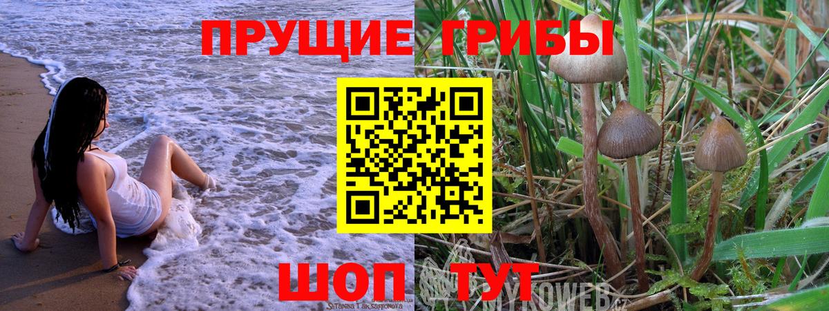 Галлюциногенные грибы MAGIC MUSHROOMS Ессентуки